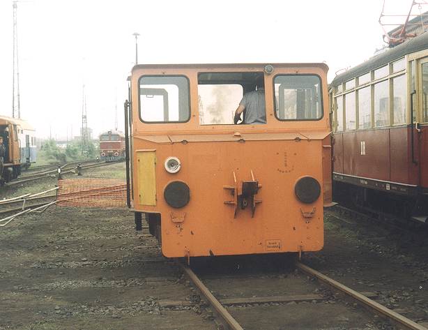  ASF gelb (Dresden)